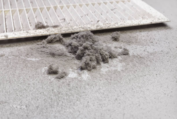 Best Professional Duct Cleaning Services  in Inverness Highlands North, FL