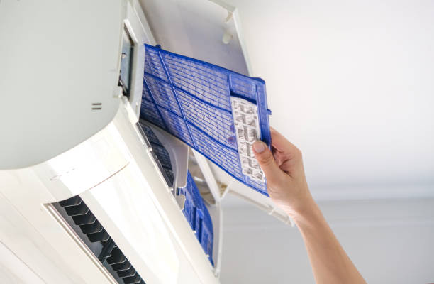 Best Air Duct Sanitizing Services  in Inverness Highlands North, FL